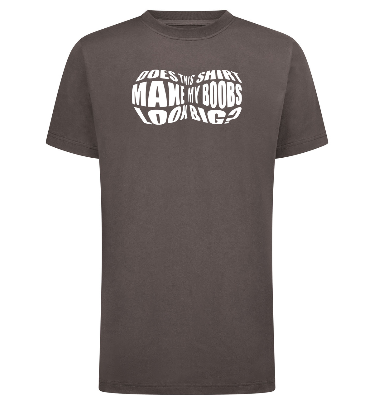 Boobs look big T-Shirt – grijs