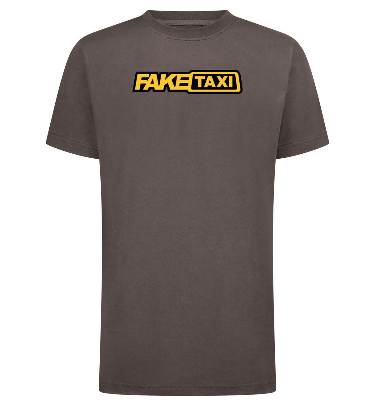 FAKE TAXI T-Shirt – grijs