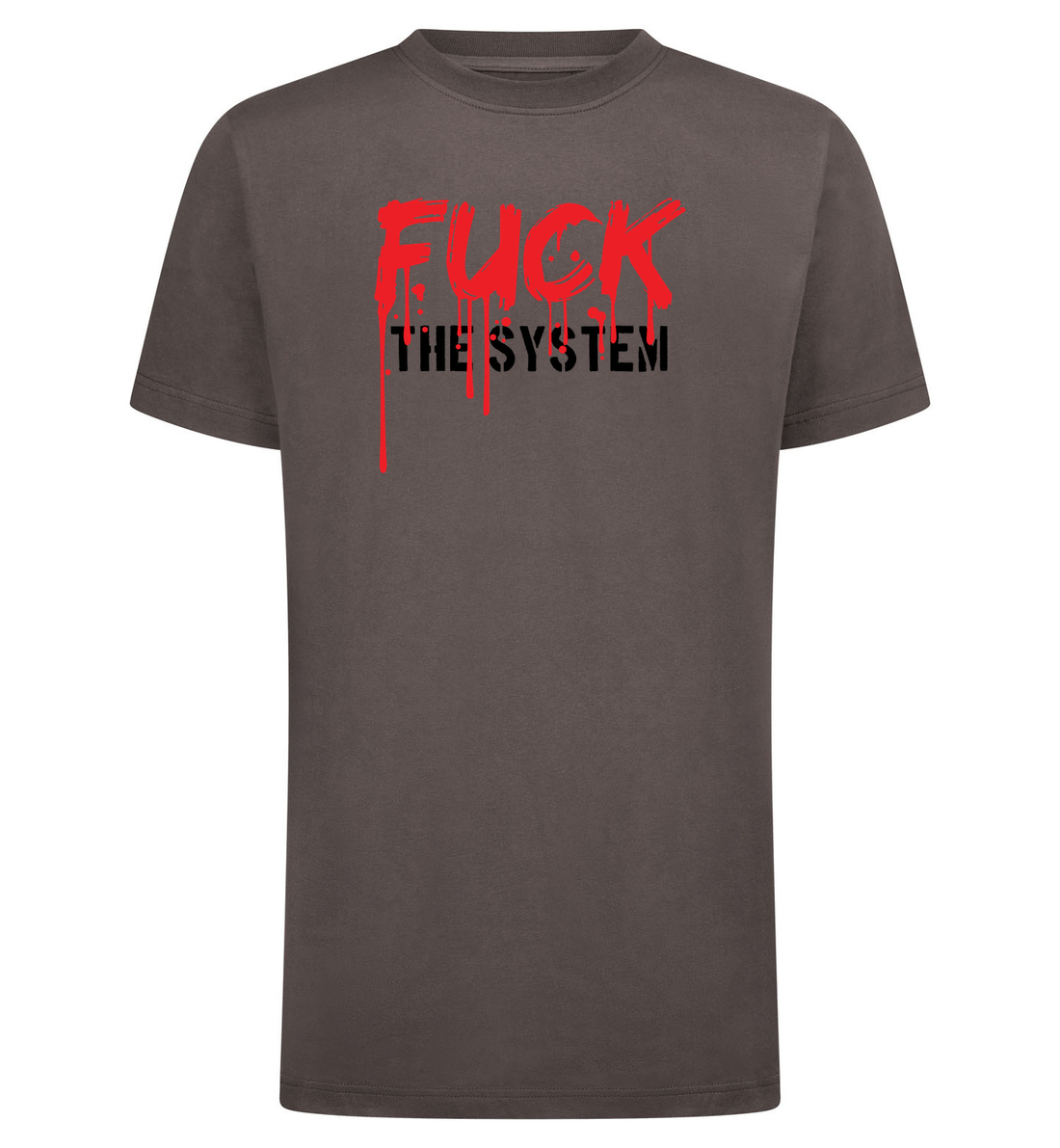 FUCK THE SYSTEM T-Shirt – grijs