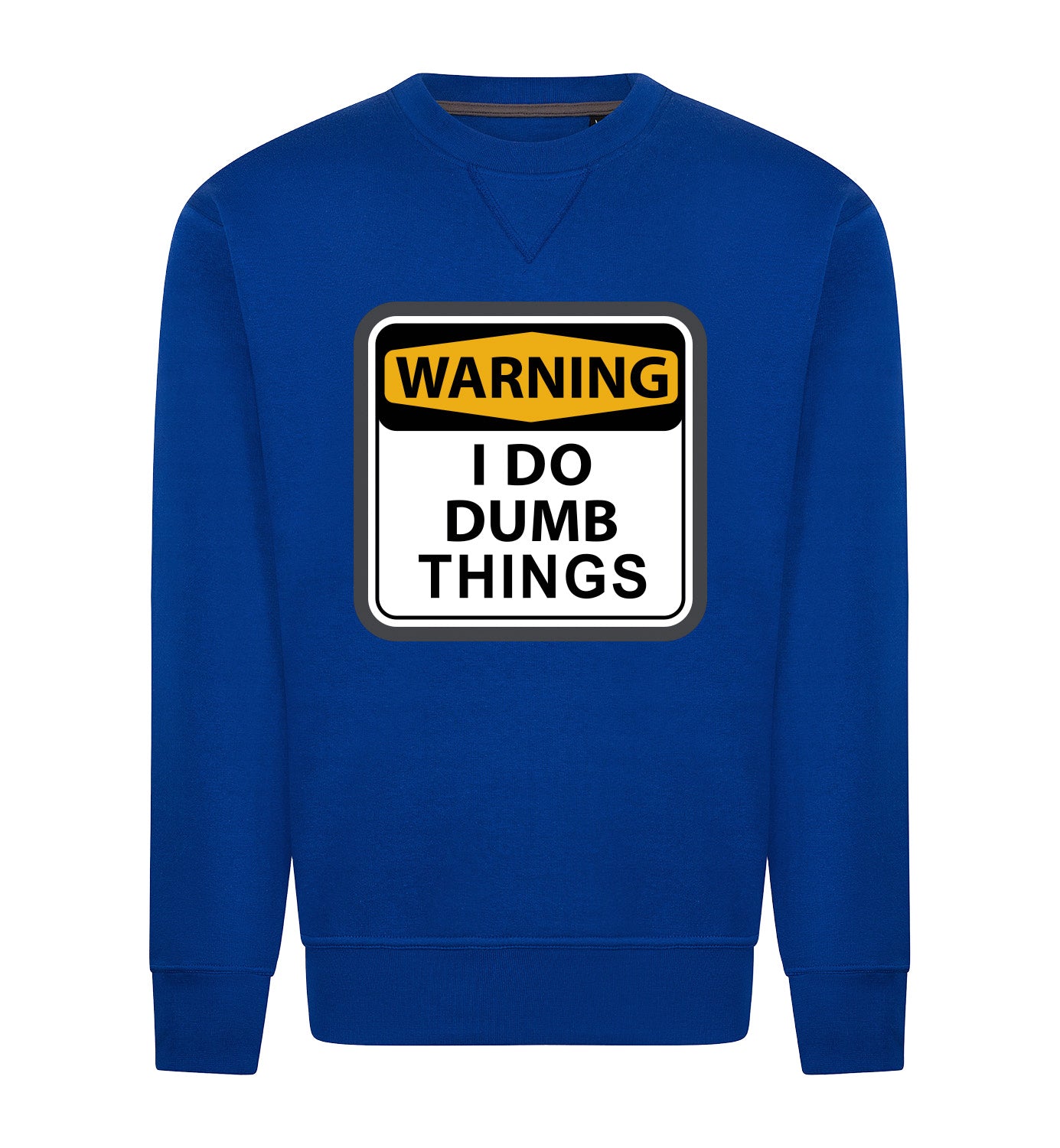I DO DUMB THINGS Sweater