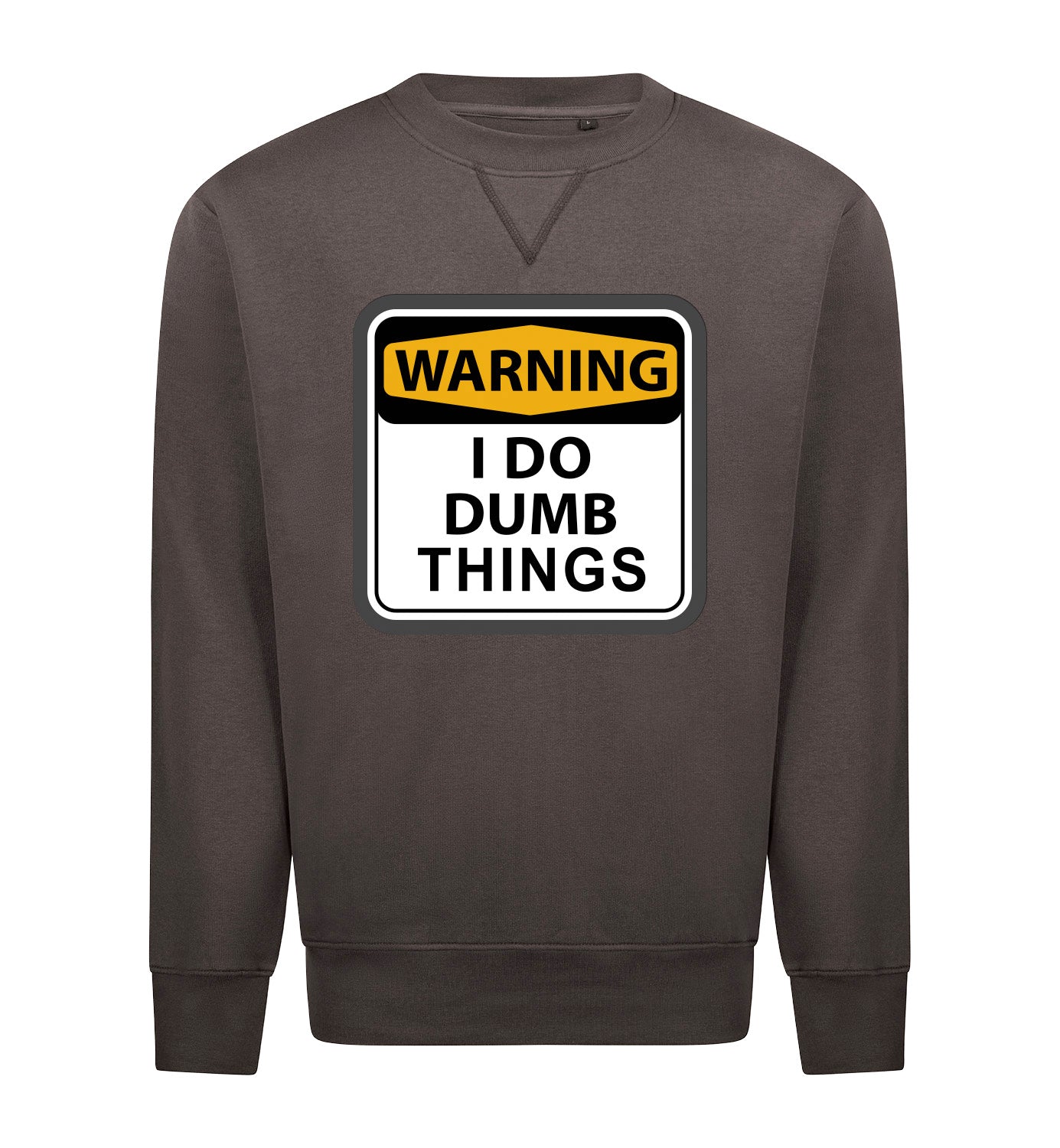 I DO DUMB THINGS Sweater