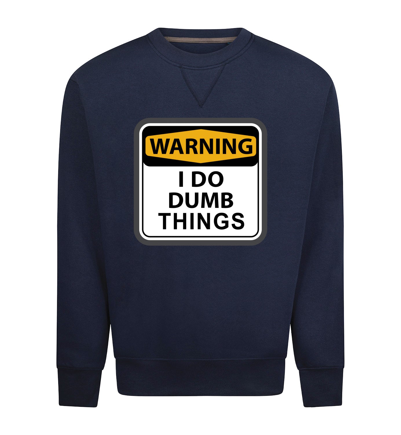 I DO DUMB THINGS Sweater