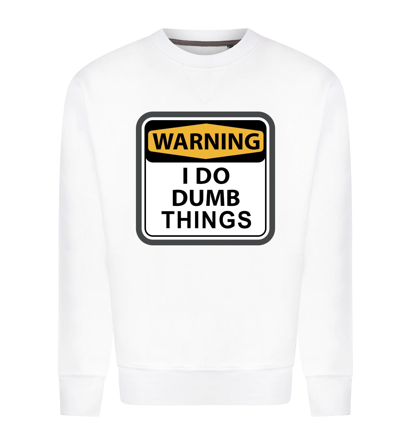 I DO DUMB THINGS Sweater