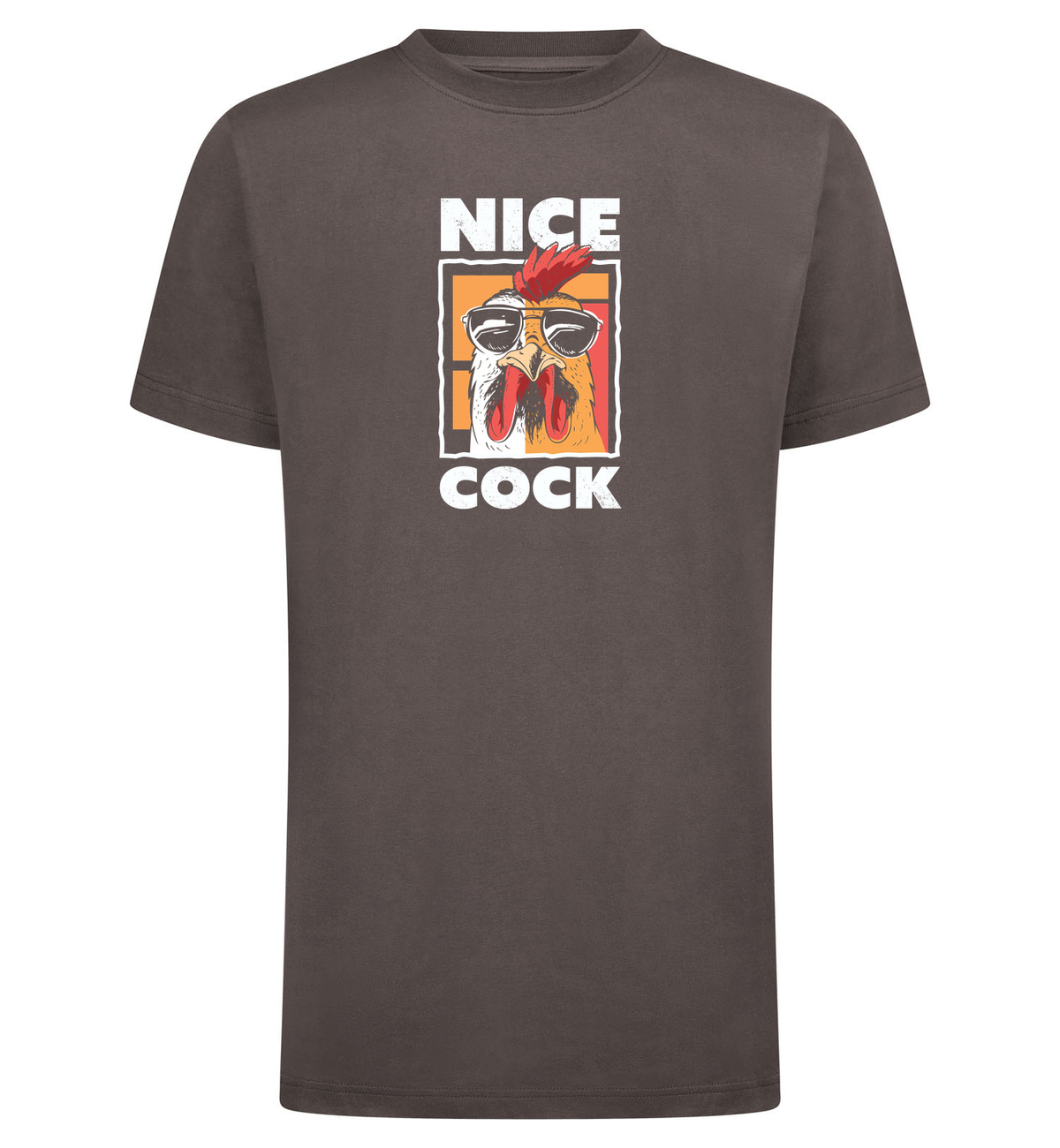 NICE COCK T-Shirt – grijs