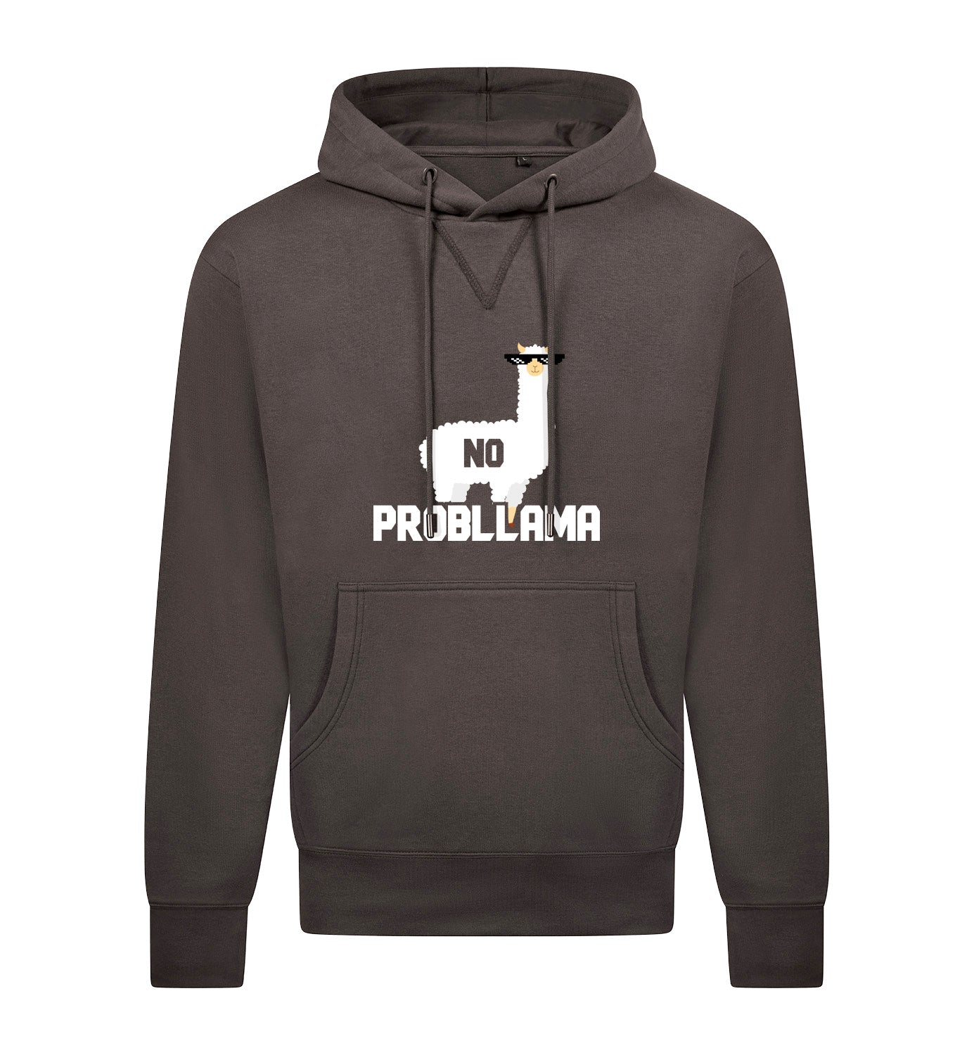 NO PROBLLAMA Hoodie