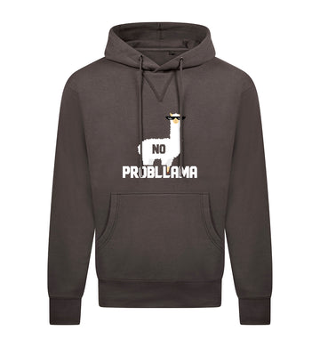 NO PROBLLAMA Hoodie
