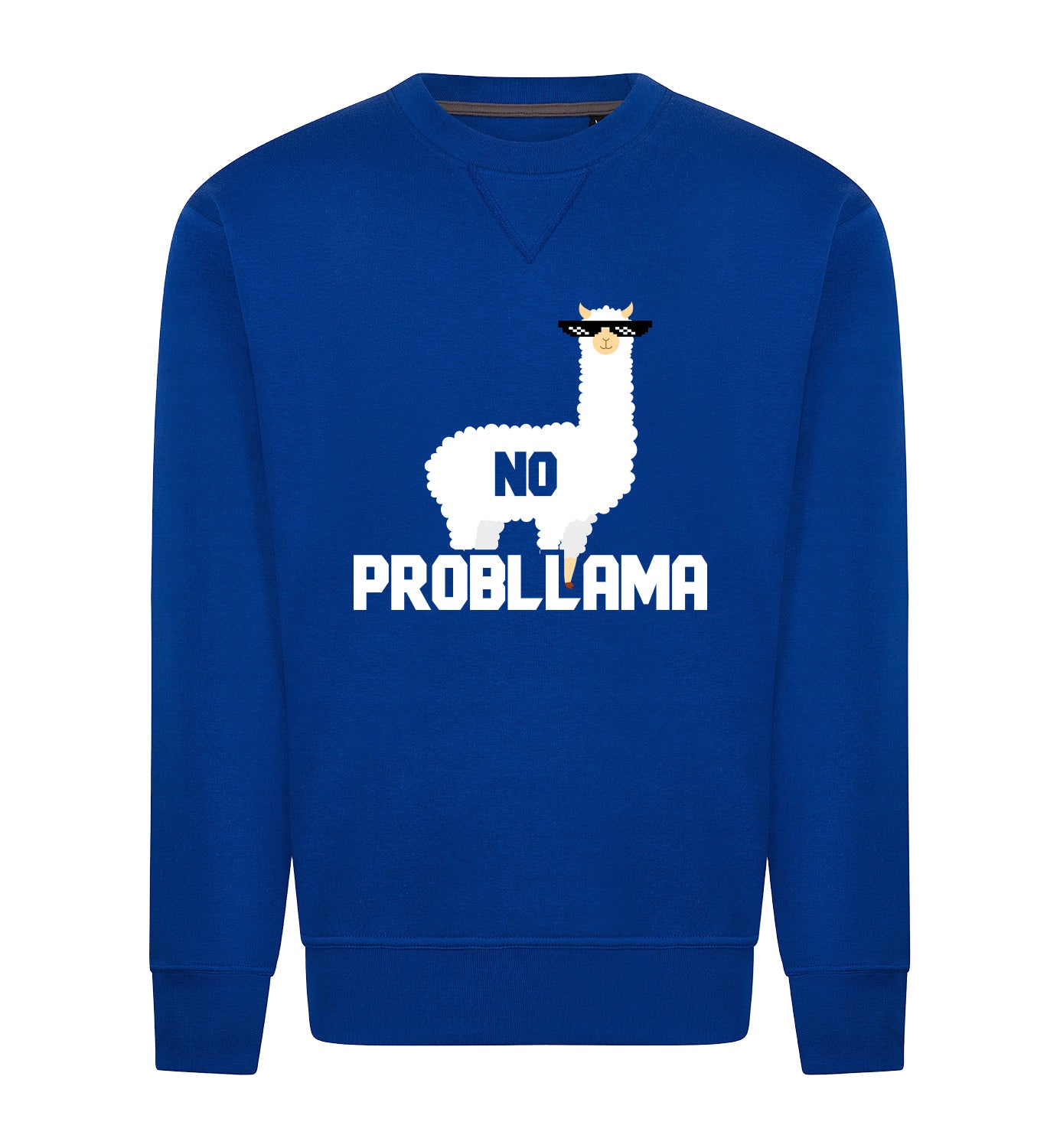 NO PROBLLAMA Sweater