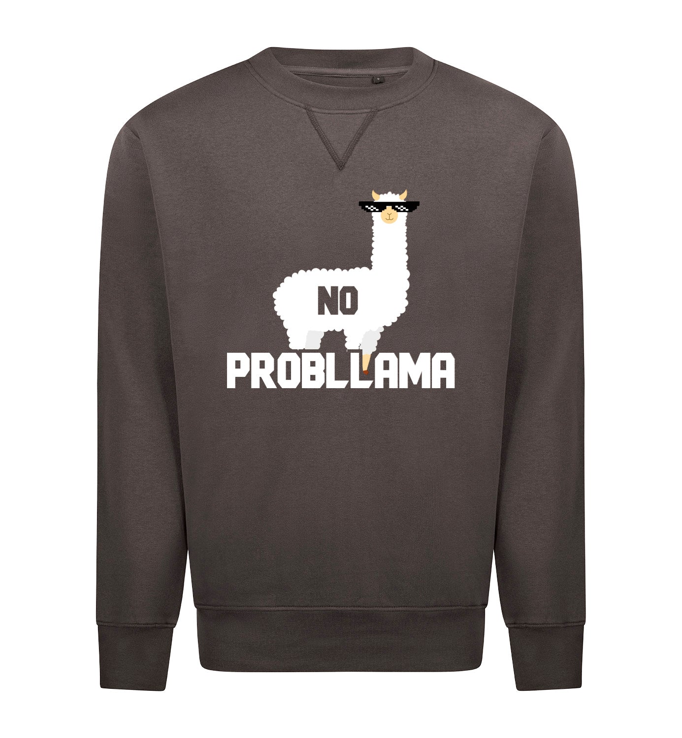 NO PROBLLAMA Sweater