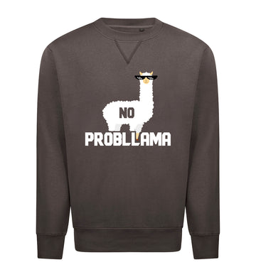 NO PROBLLAMA Sweater