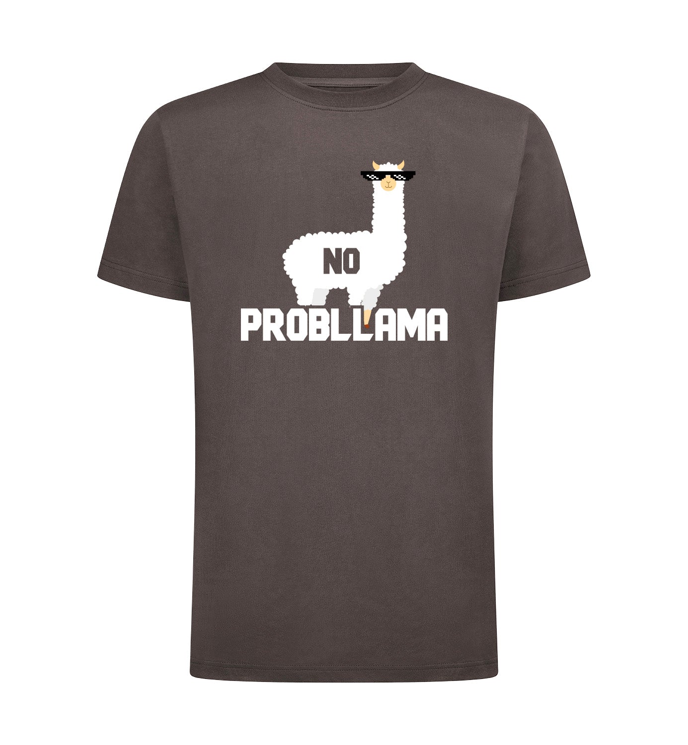 NO PROBLLAMA T-Shirt