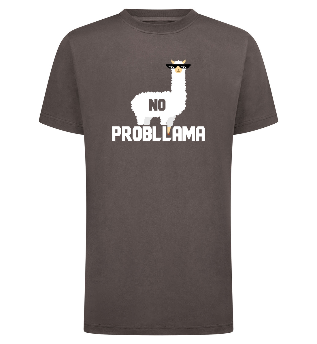 NO PROBLLAMA T-Shirt – grijs