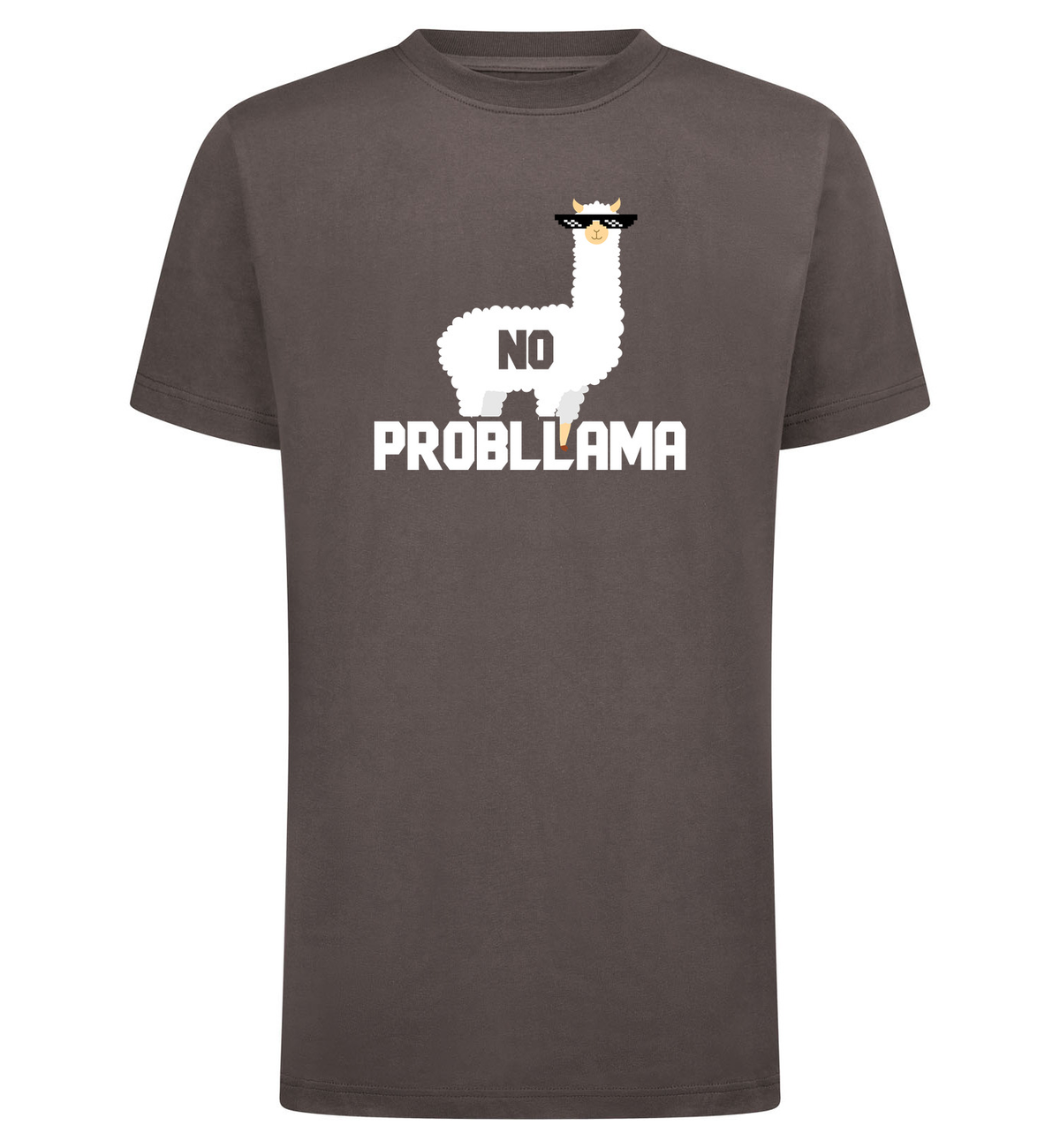 NO PROBLLAMA T-Shirt – grijs