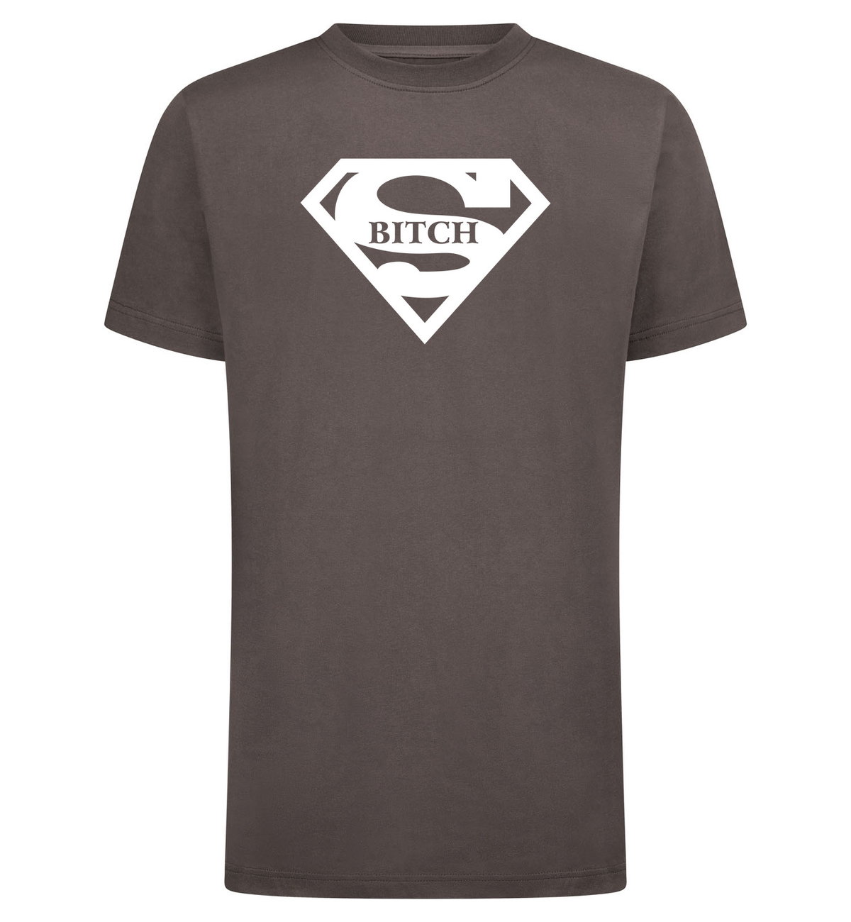 S bitch T-Shirt – grijs